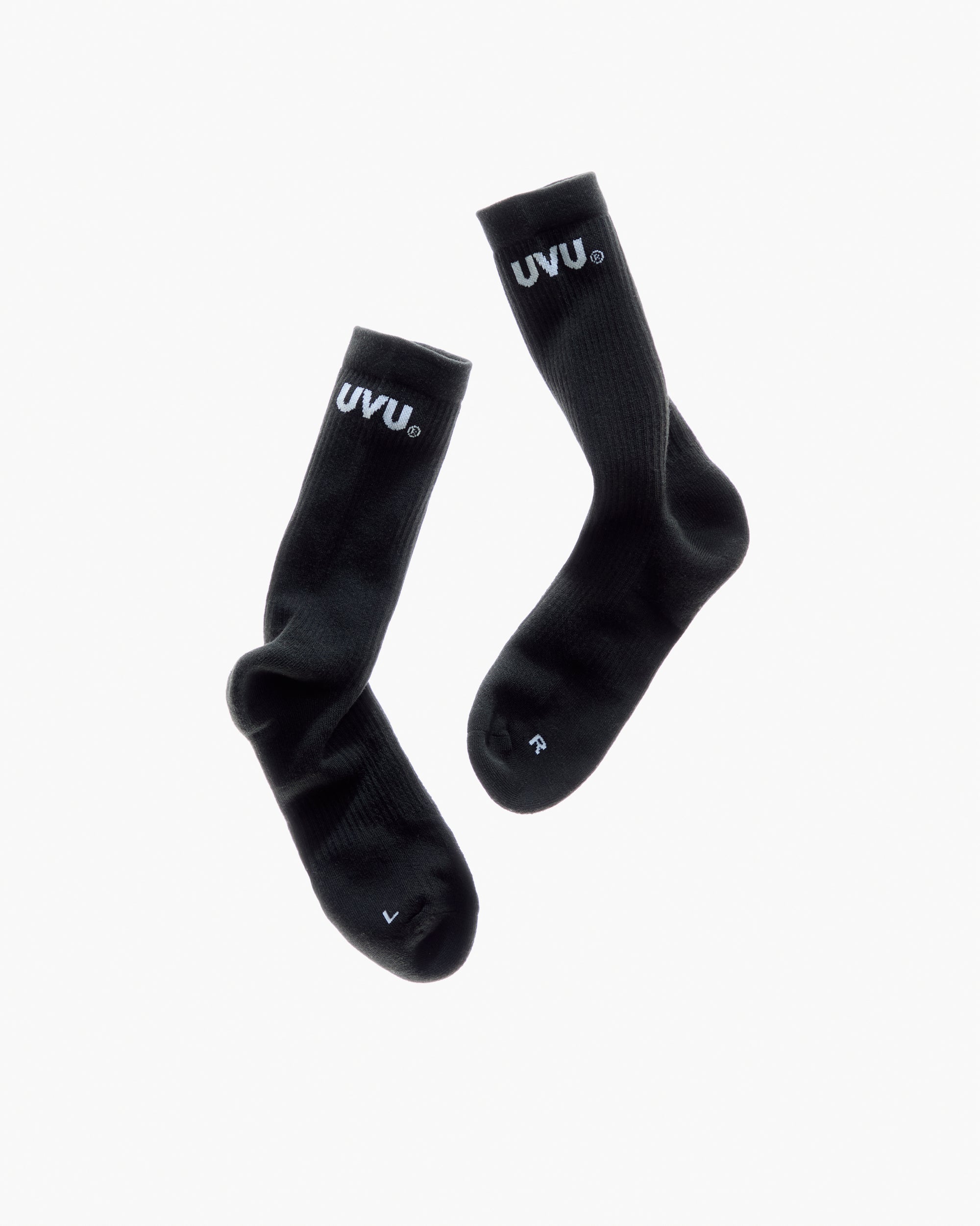 Training – UVU